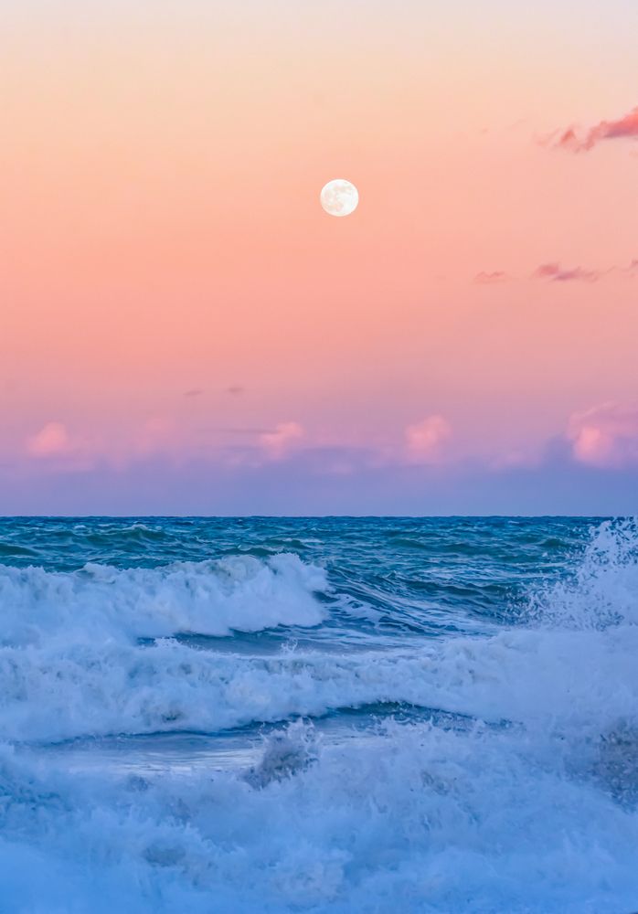 Photograph by Teresa Molinaro