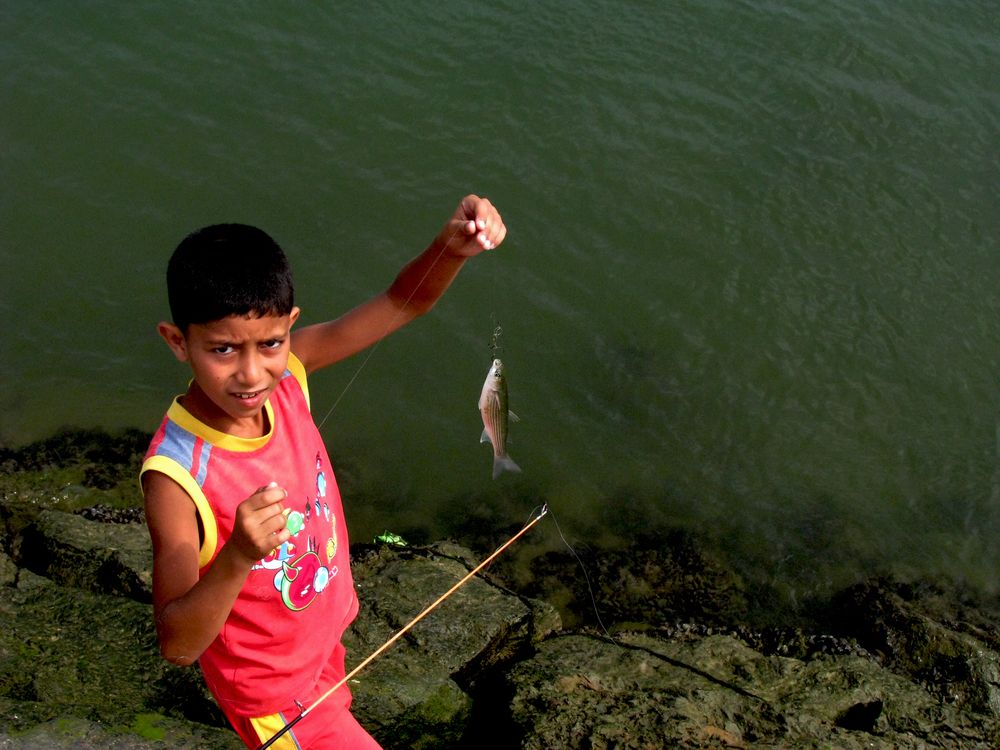 Photograph by Salih Aqeil