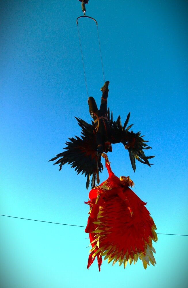 Жар-птица все равно победит!