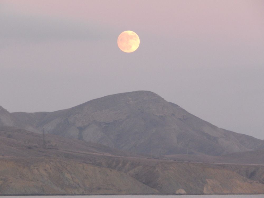 Photograph by Tanivsv