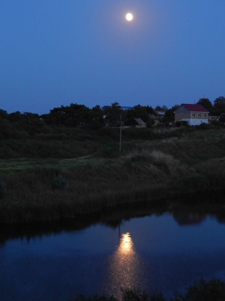 Photograph by Tanivsv