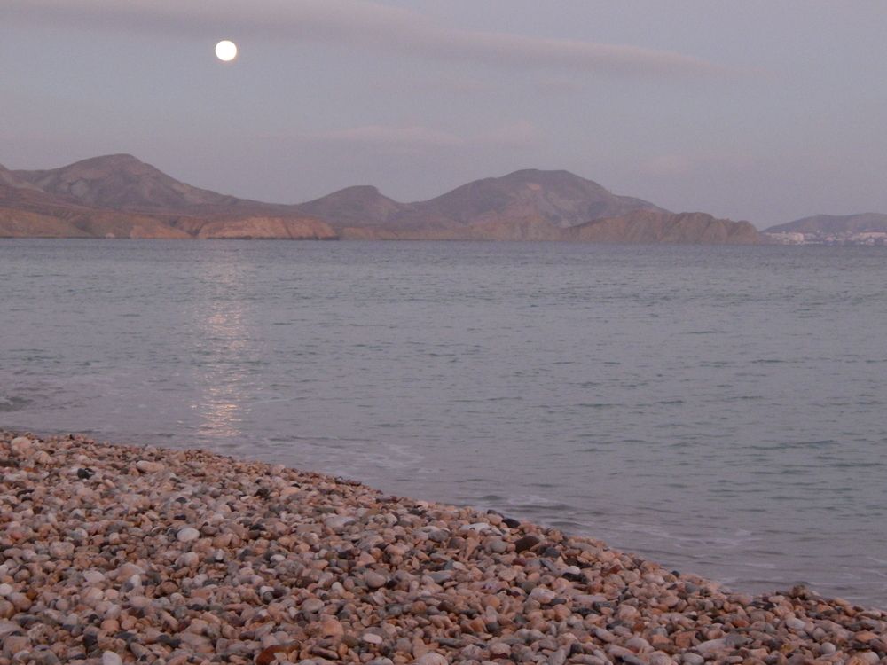 Photograph by Tanivsv