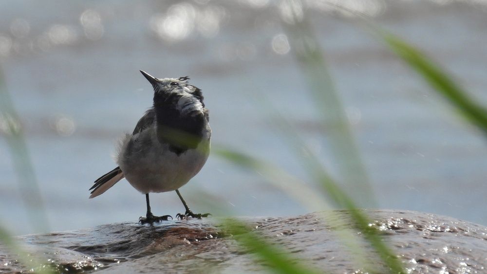 Фотография автора Мария Черница