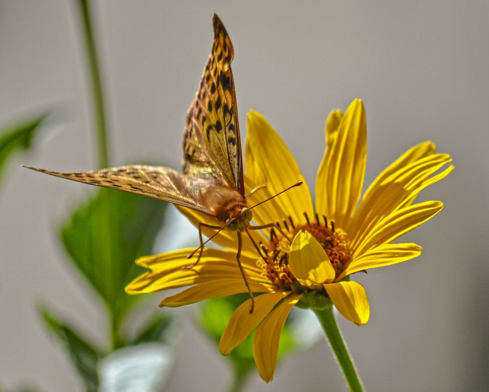 Photograph by Катерина Сорокина