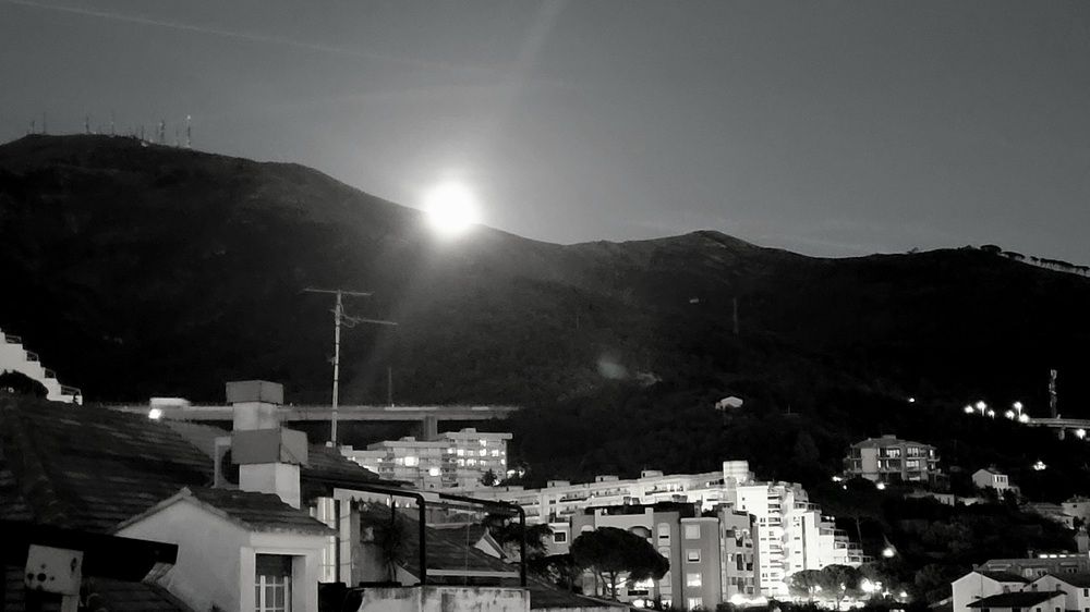 Photograph by claudia