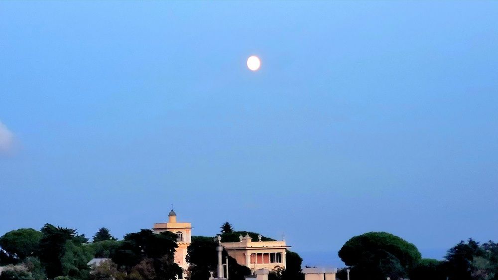 Photograph by claudia