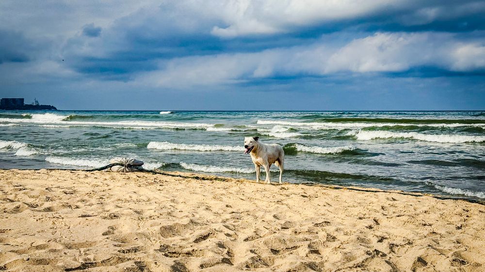 Photograph by Ekaterina Slepneva