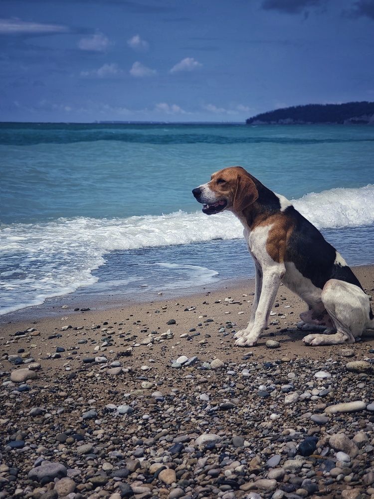 Фотография автора Евгения Владимировна