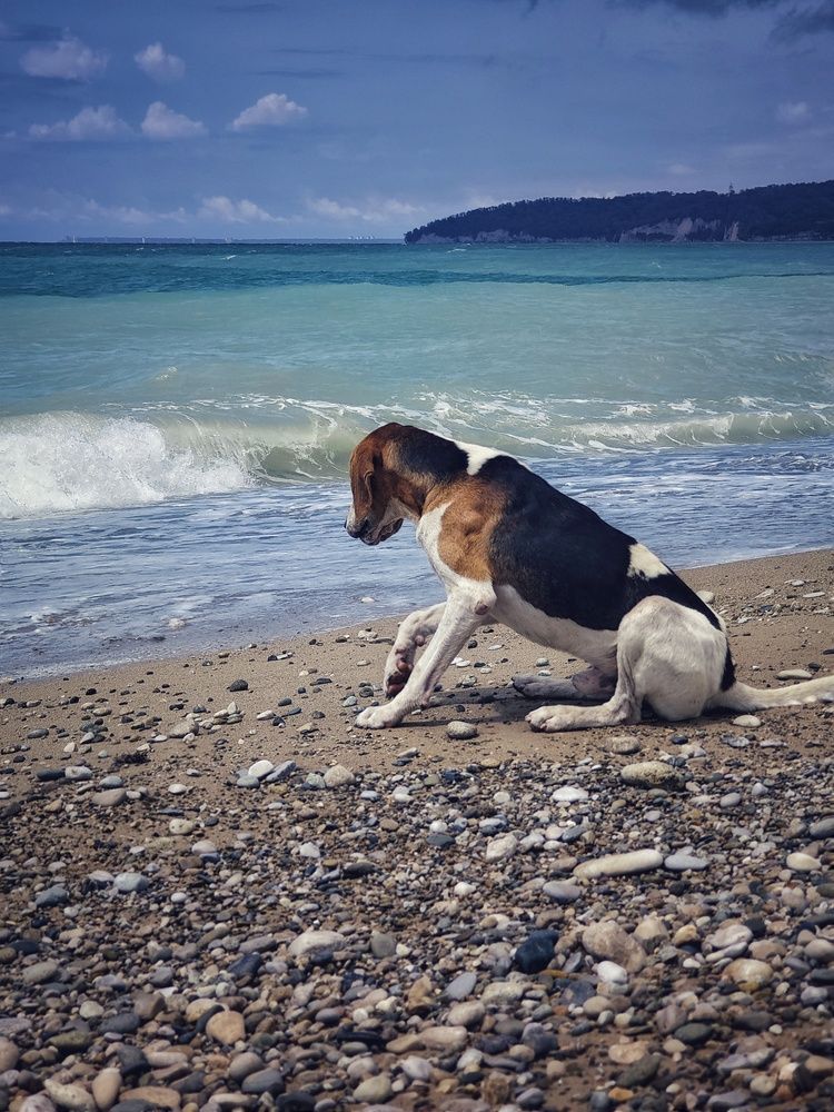 Фотография автора Евгения Владимировна