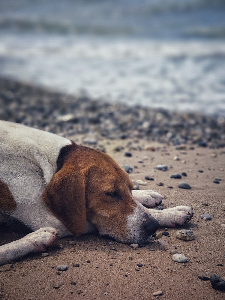 Фотография автора Евгения Владимировна