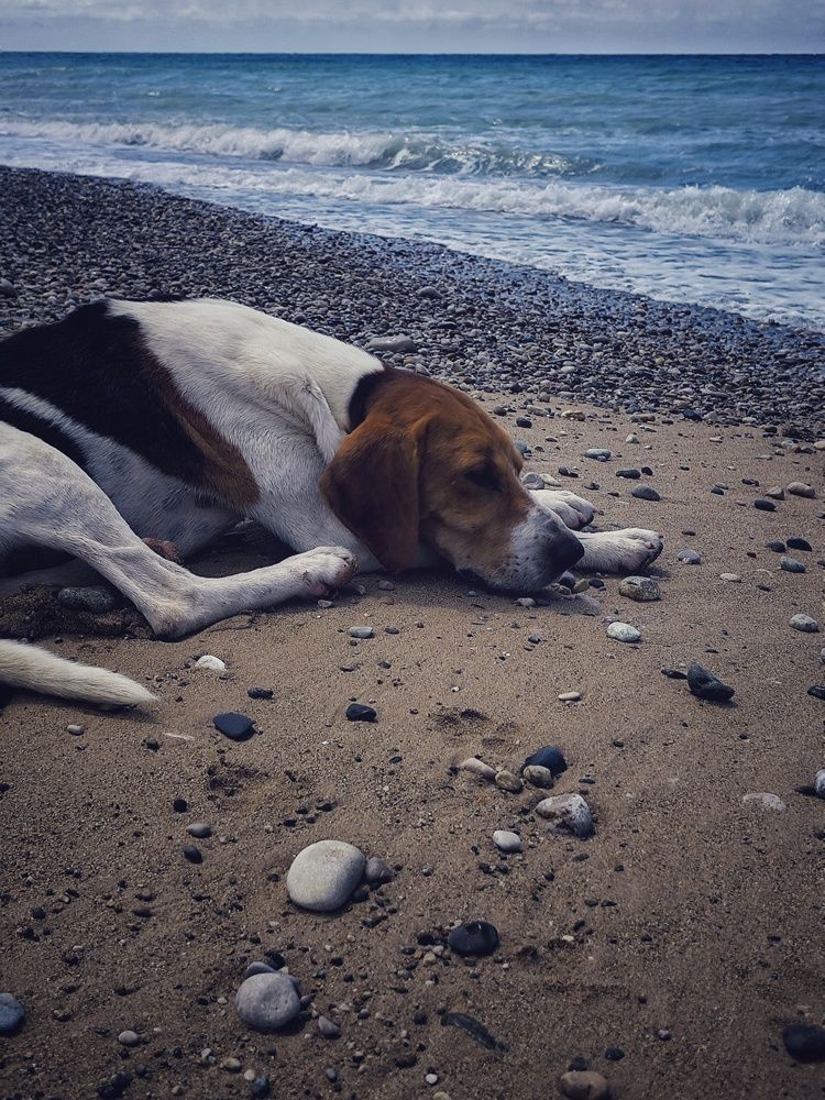 Фотография автора Евгения Владимировна