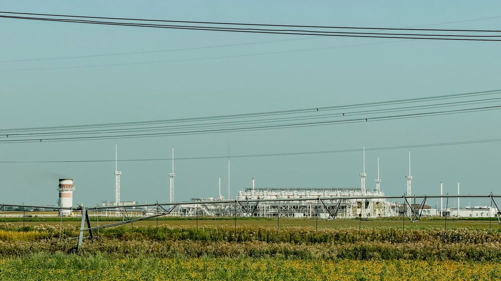 Photograph by Ekaterina Slepneva