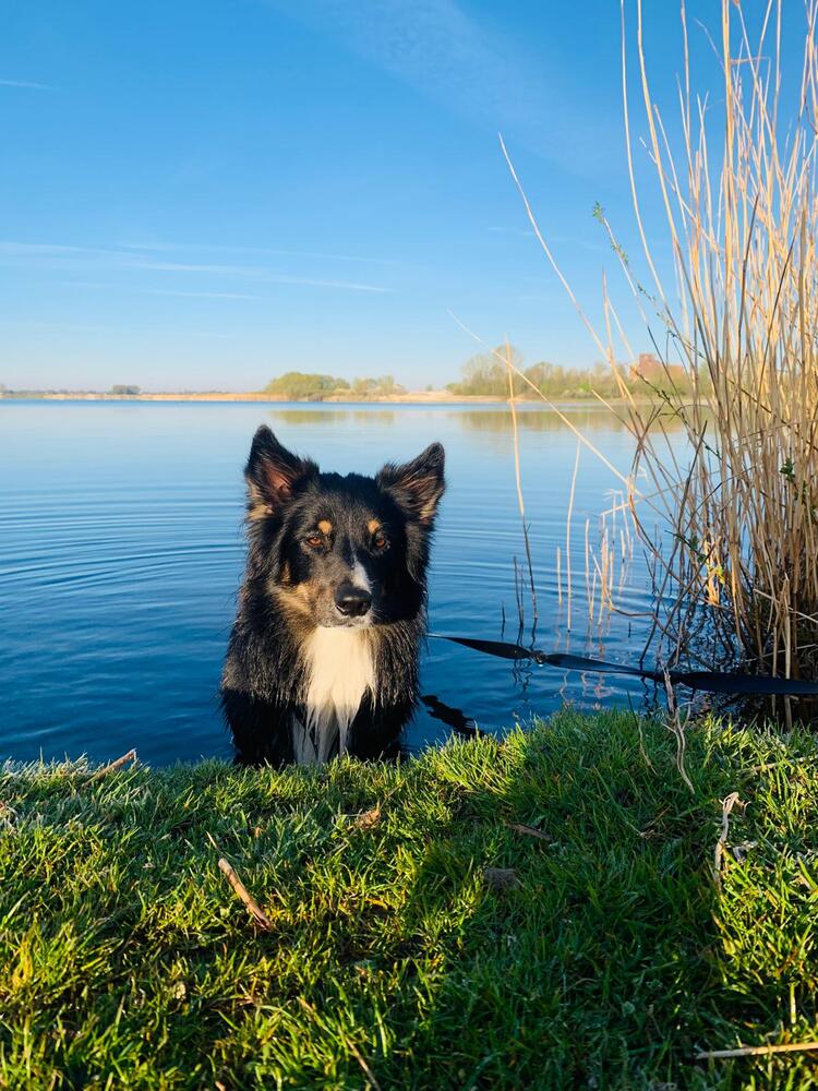 Фотография автора Daniela Retzer