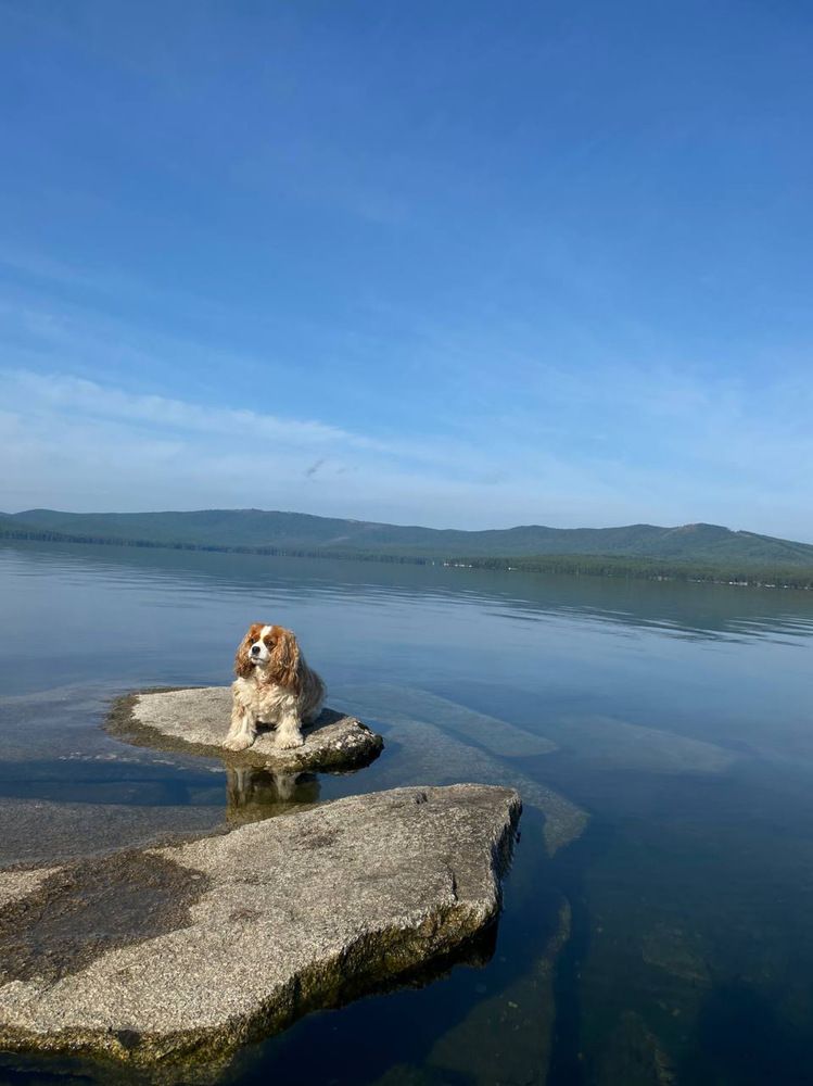 Photograph by Екатерина Усольцева
