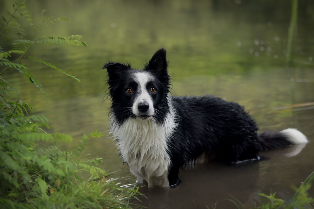 Photograph by Sara madunic