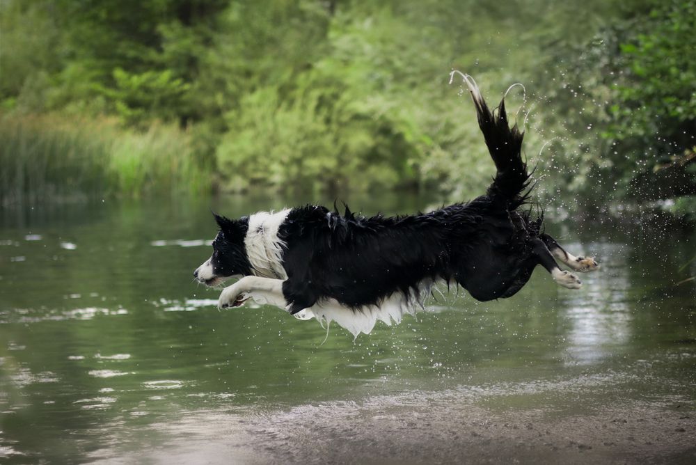 Photograph by Sara madunic