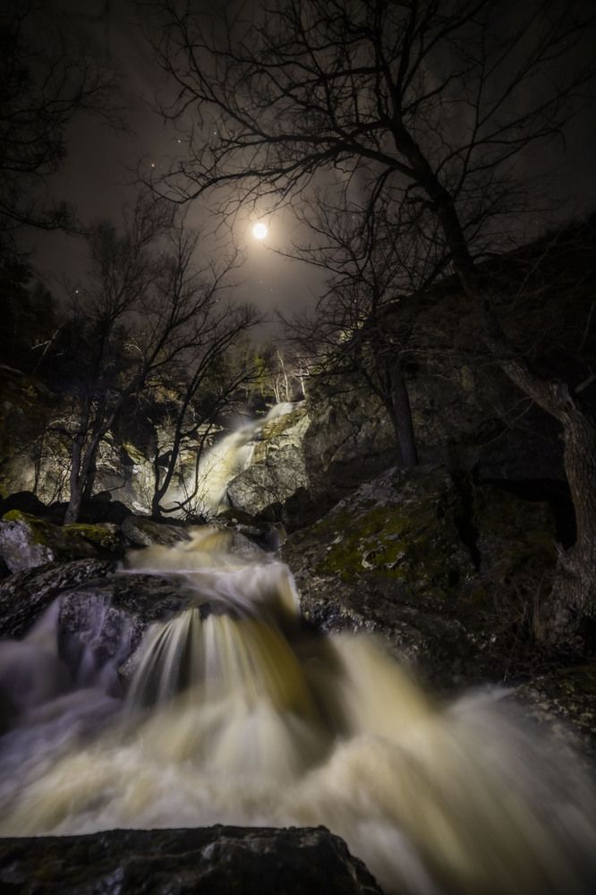 Photograph by Елена Перминова