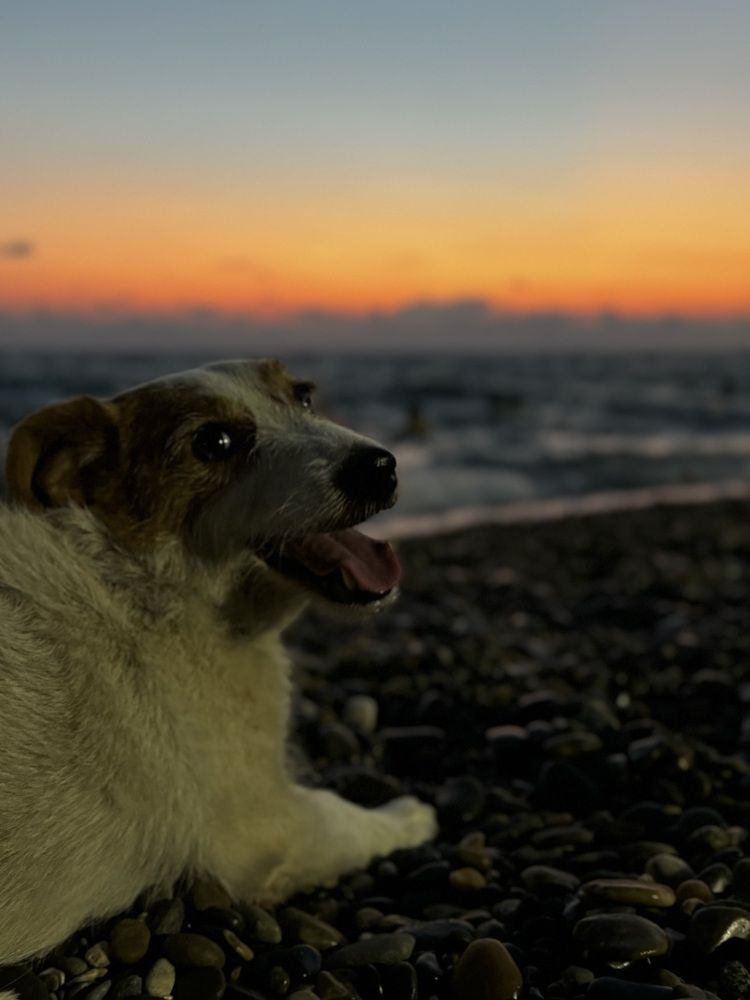 Photograph by Татьяна Смирнова