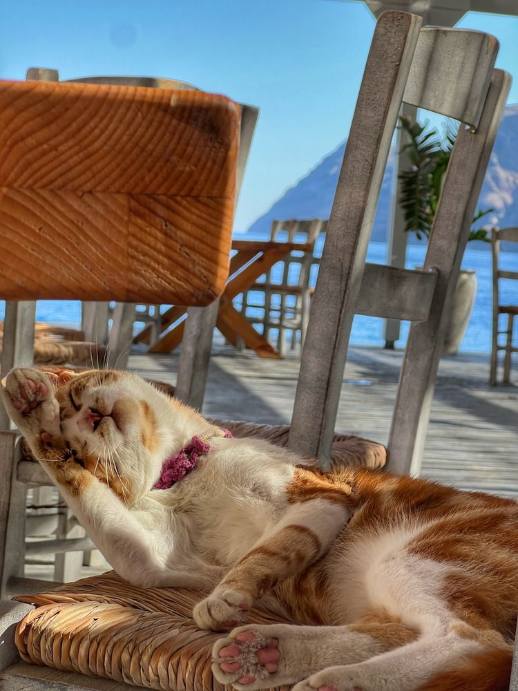 Фотография автора Olga Klyueva