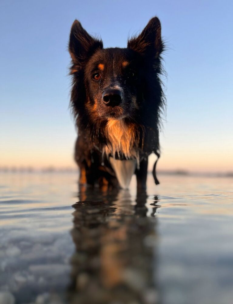 Фотография автора Daniela Retzer