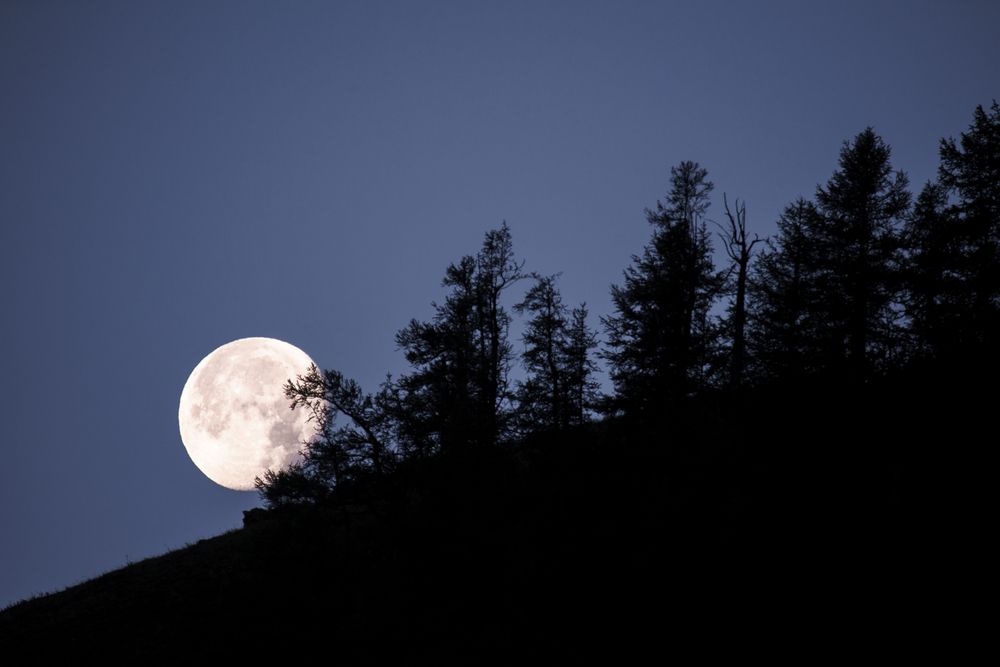 Photograph by Нерозя Александр