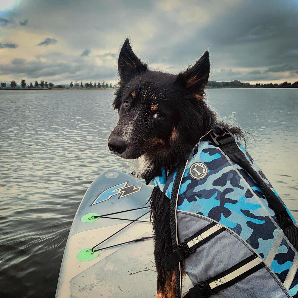 Фотография автора Daniela Retzer