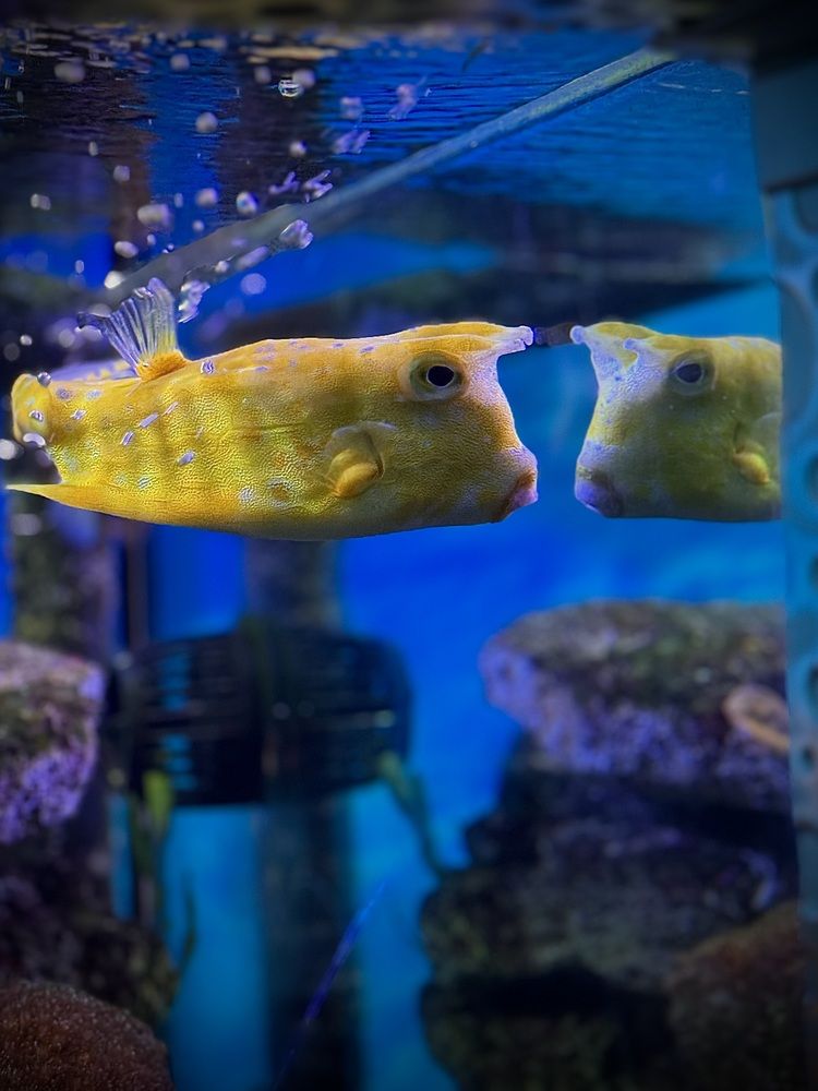 Photograph by Татьяна Смирнова