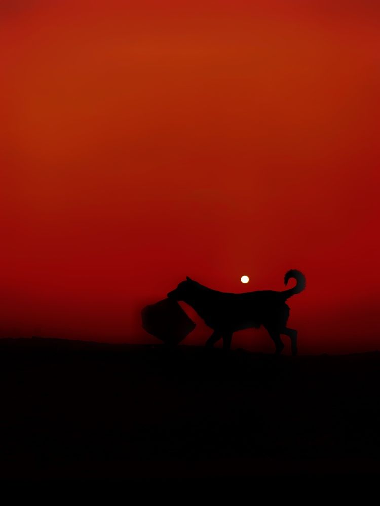 Photograph by Basma rashwan