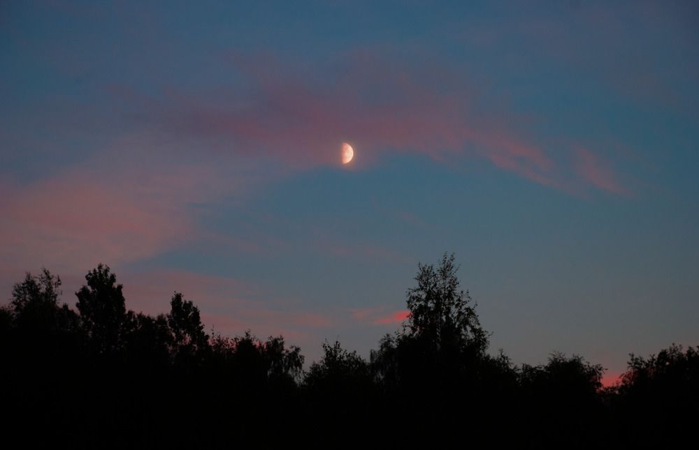 Photograph by Милена Полтавец