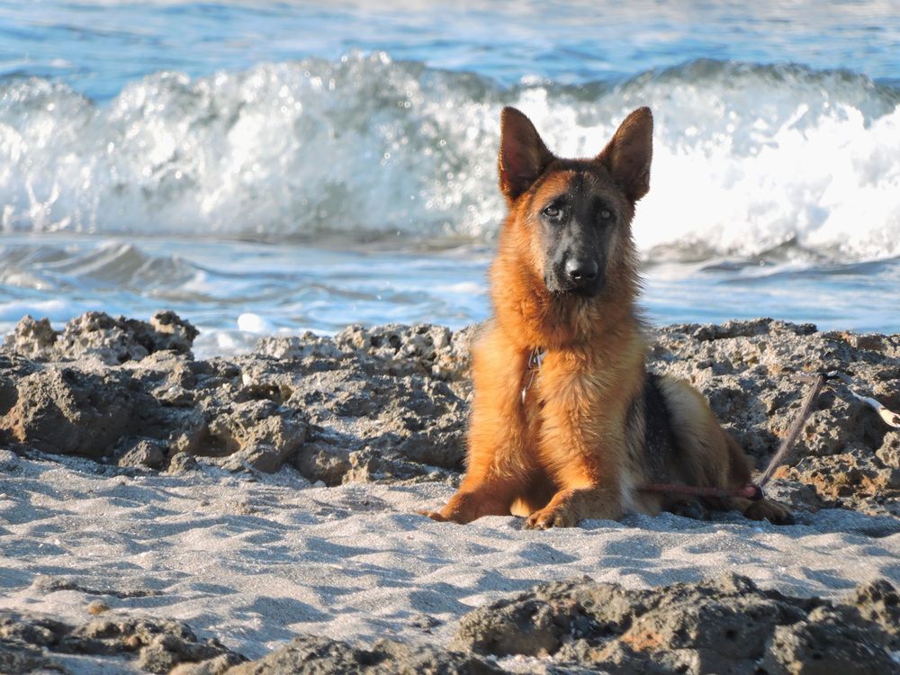 Photograph by Galina Gorshkova