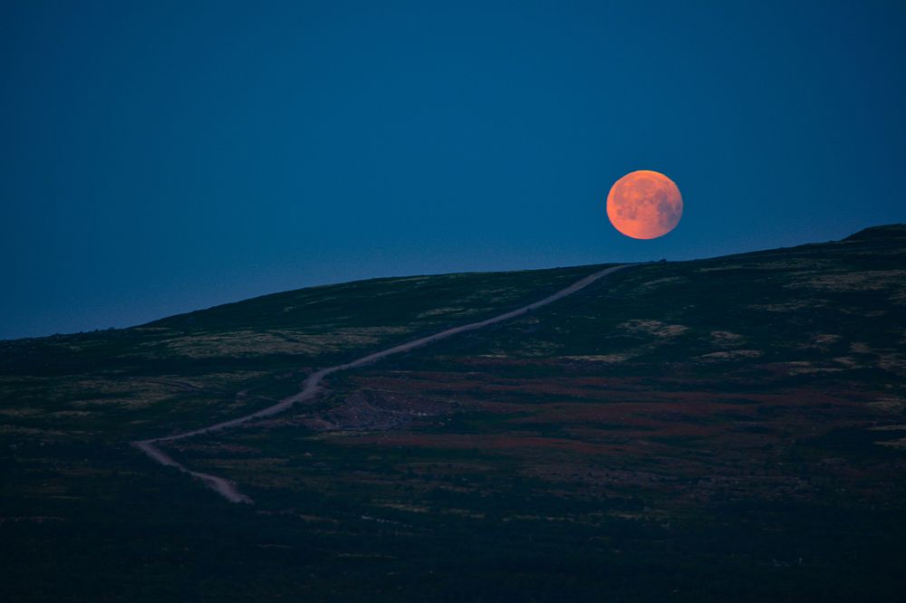 Photograph by Tanzilya Gabidullina