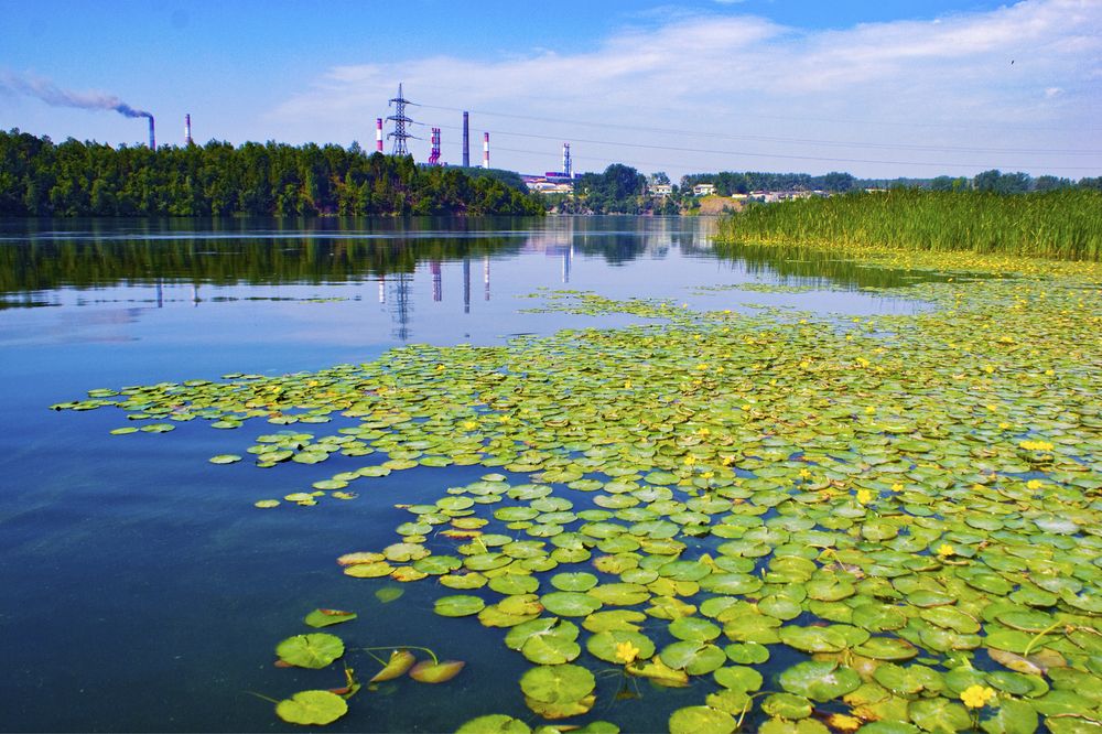 Photograph by Сергей Табатчиков