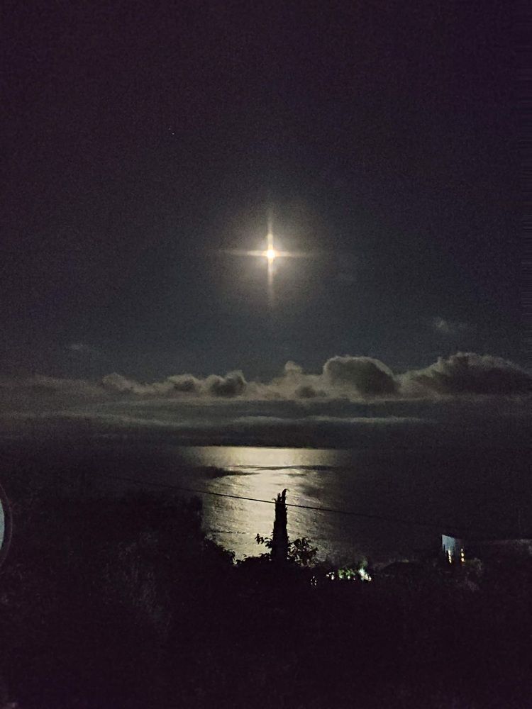 Photograph by София Серёжечкина