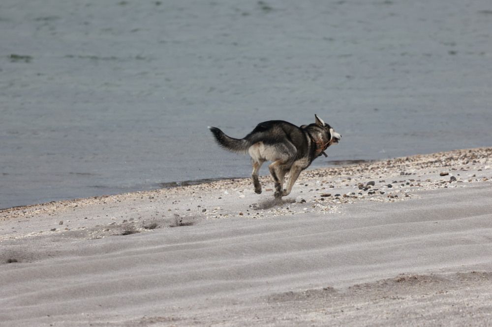 Photograph by Одаренко Ольга