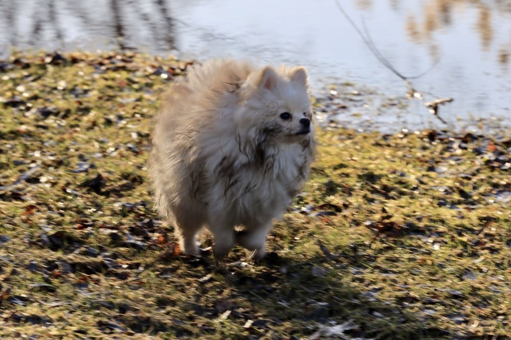 Photograph by Одаренко Ольга