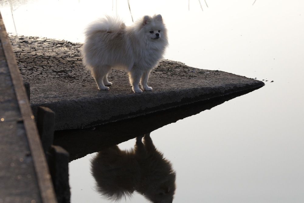 Photograph by Одаренко Ольга