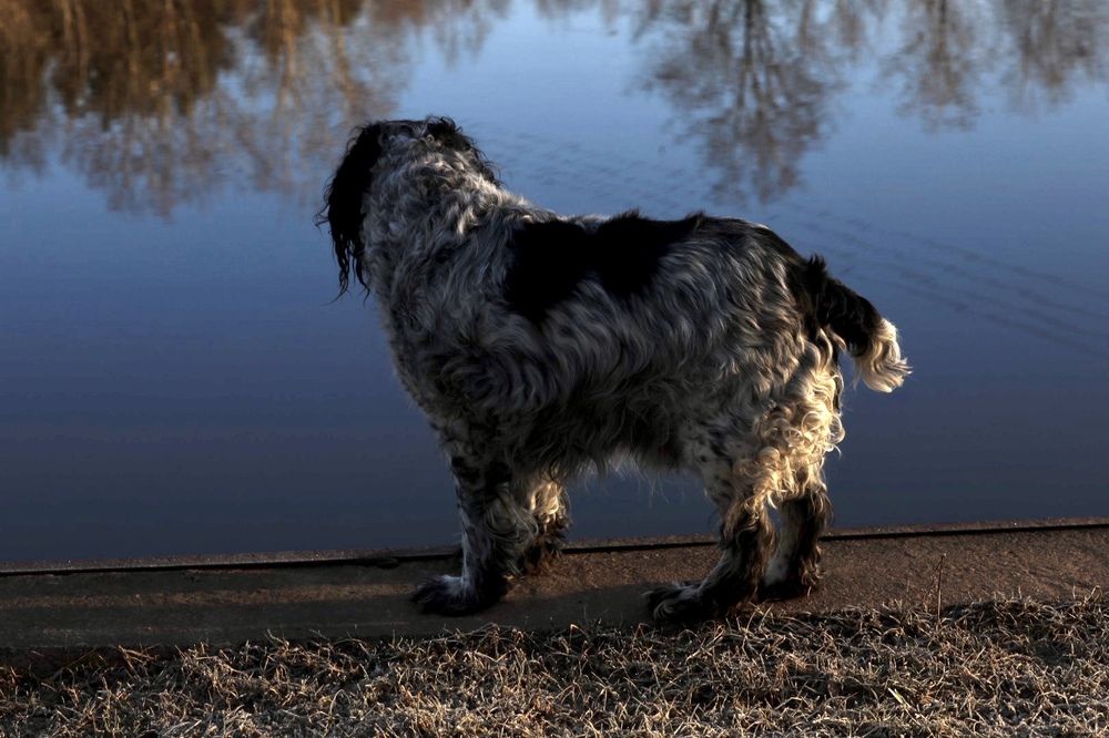 Photograph by Одаренко Ольга