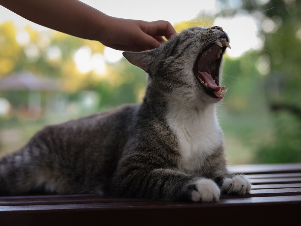 Photograph by Марина Фомичева