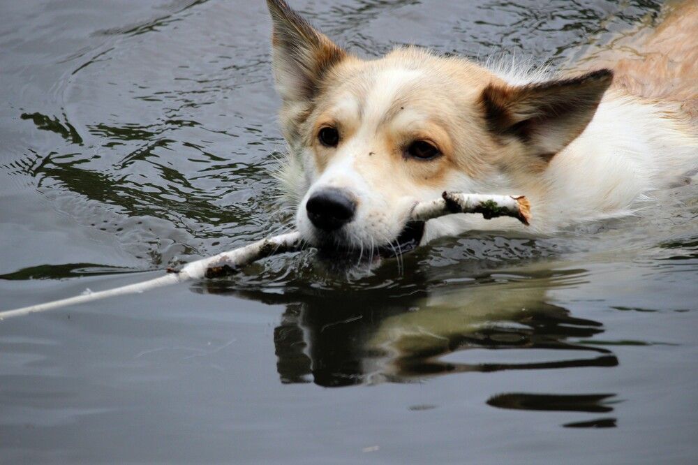 Photograph by Галина Мазур