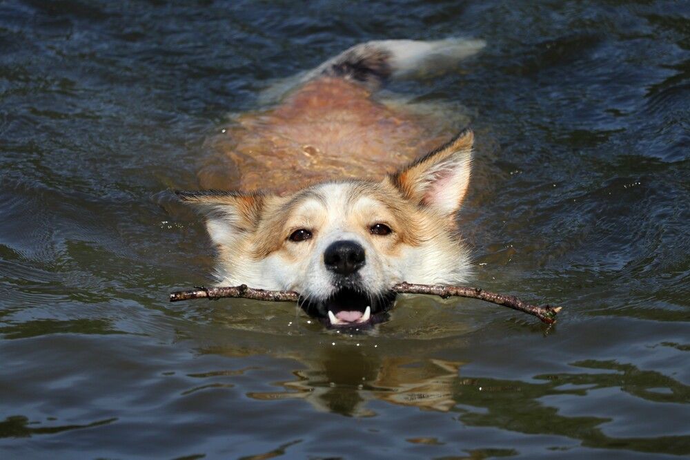 Photograph by Галина Мазур