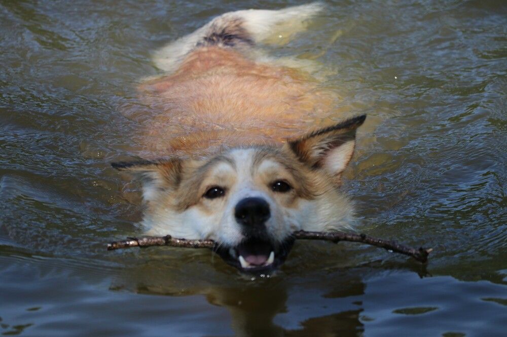 Photograph by Галина Мазур