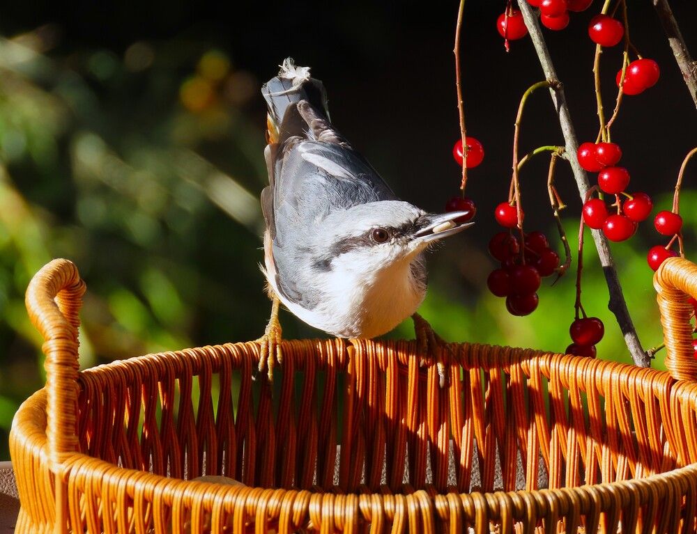 Photograph by Ольга Митрофанова