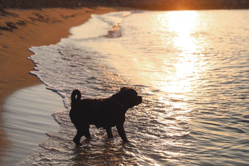 Photograph by Julia Smilovitsky