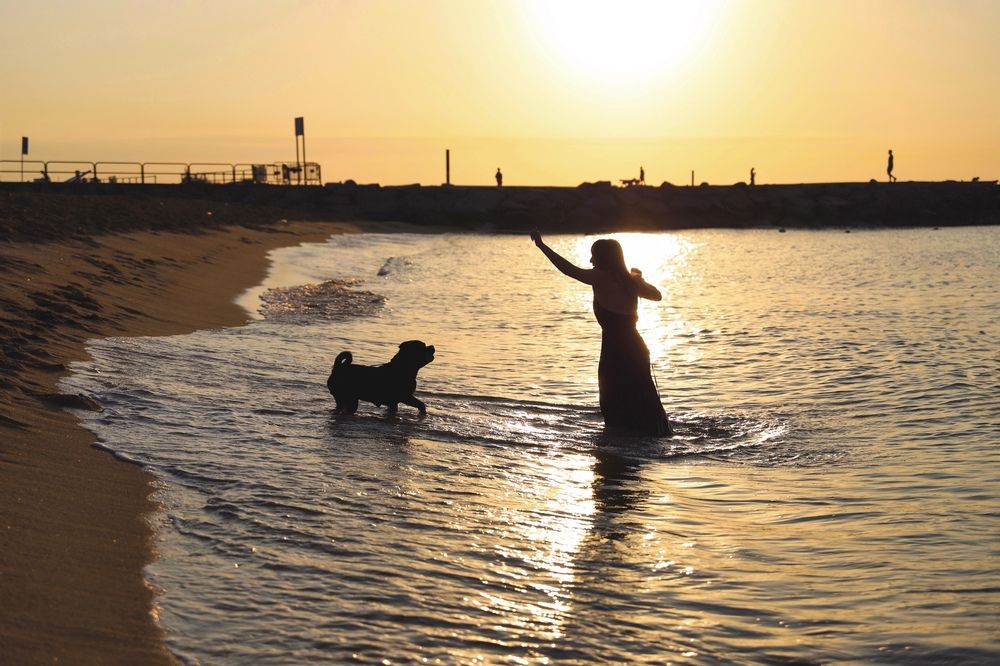 Photograph by Julia Smilovitsky