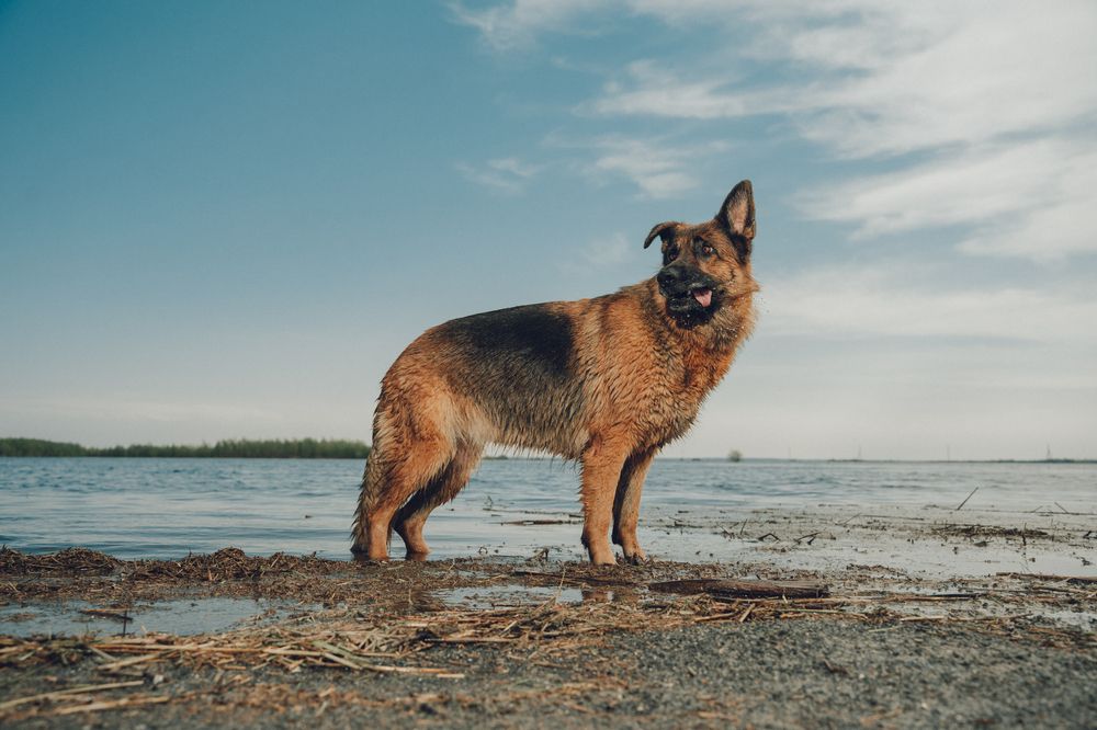 Фотография автора Мария Шишкина