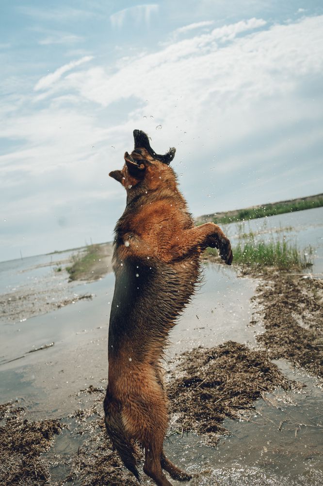 Фотография автора Мария Шишкина