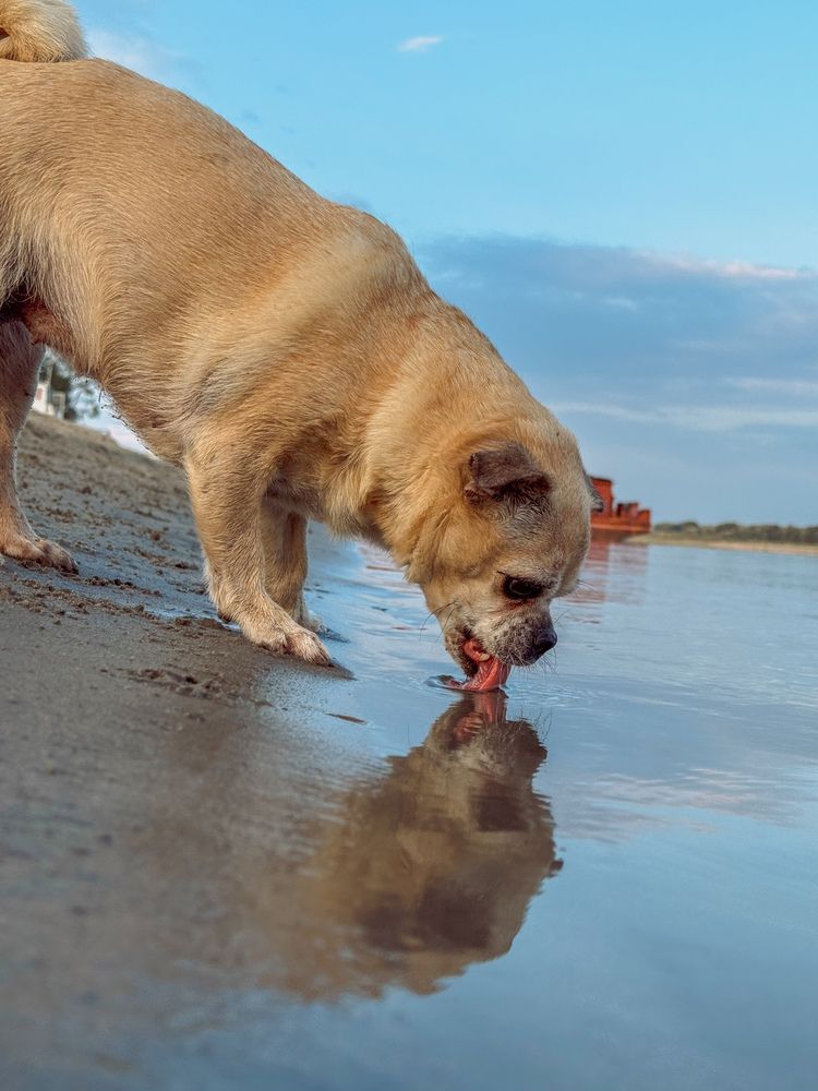 Photograph by Ольга Имамкулиева
