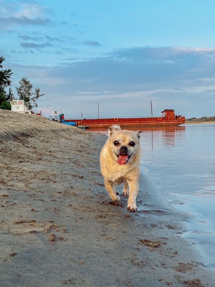 Photograph by Ольга Имамкулиева