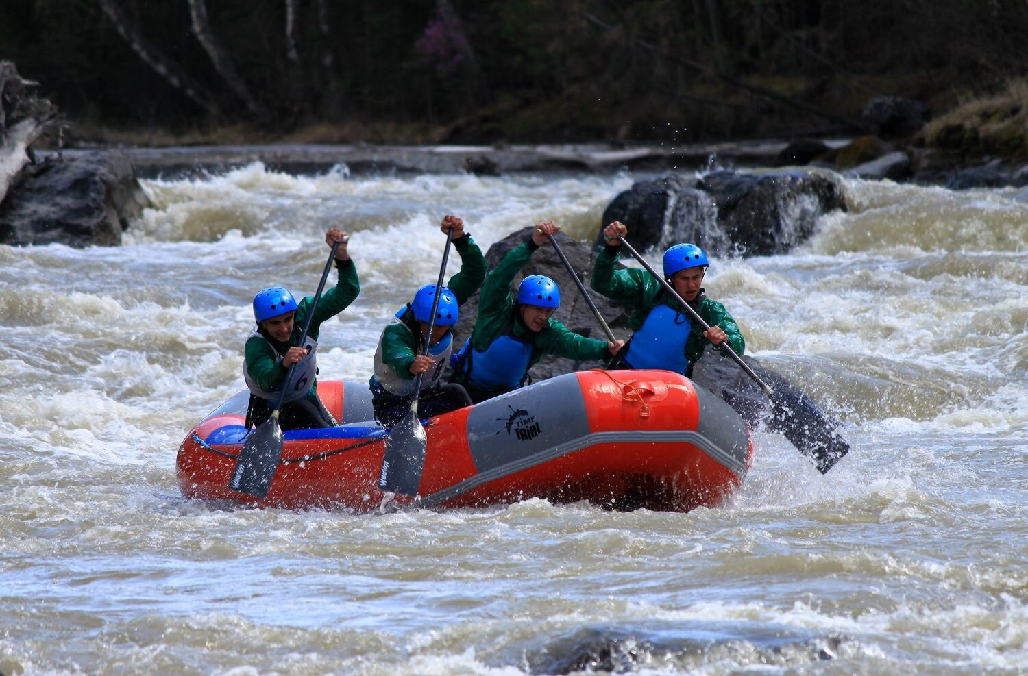 Photo #12441319
