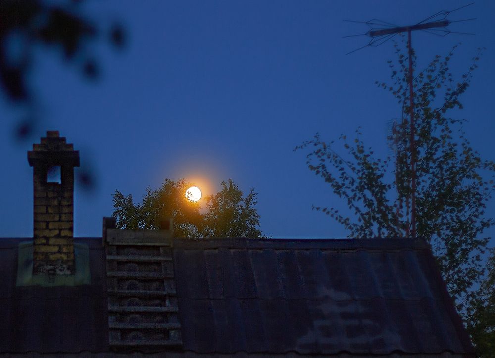 Photograph by Наталья Шевелева